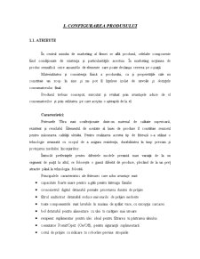 Proiect Marketing - Plan de Marketing pentru Friteuze - Pagina 3
