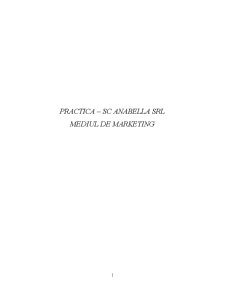 Practică - SC Anabella SRL - mediul de marketing - Pagina 1