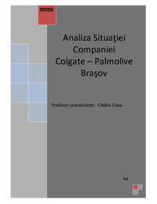 Analiza Situației Companiei Colgate - Palmolive Brașov - Pagina 4