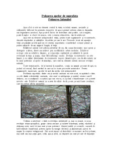 Poluarea Râului Ialomița - Pagina 1