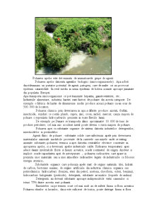 Poluarea Râului Ialomița - Pagina 3