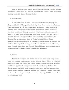 Studiu de fezabilitate săpun - SC Bubbles SRL 2008 - Pagina 4