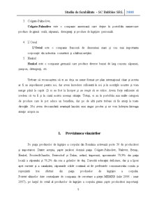 Studiu de fezabilitate săpun - SC Bubbles SRL 2008 - Pagina 5