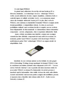WiMAX - comparație cu Wireless LAN - Pagina 4