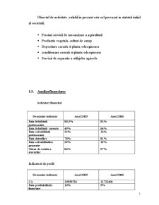 Plan de Afaceri - Agromec SA - Pagina 3