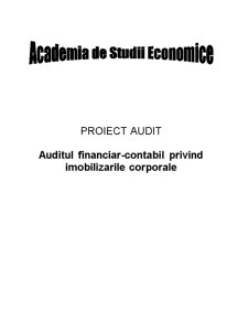 Audit Financiar-Contabil - Pagina 1