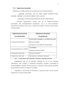 Prezentarea generală a SC Serbel Import Export SRL - Pagina 2