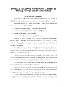 Fundamentarea și Finanțarea Cheltuielilor Bugetare la Direcția de Muncă și Protecție Socială Iași - Pagina 3