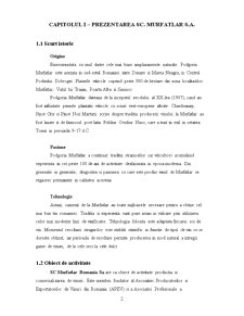 Sistemul Logistic al SC Murfatlar SA - Pagina 2