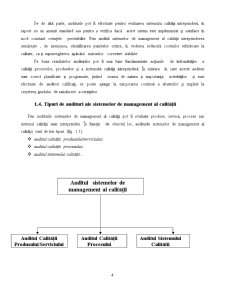 Auditul Sistemelor de Management al Calității - Pagina 3