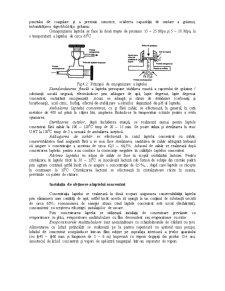 Tehnologia Produselor Lactate Concentrate - Pagina 2