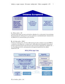Institutii si Organe Europene, Mecanisme Institutionale, Politica Manageriala a Uniunii Europene - Pagina 5