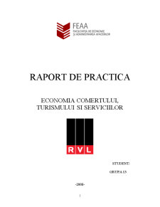 Raport de practică - economia comerțului, turismului și serviciilor - Pagina 1