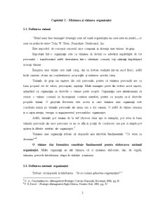 Aprecieri privind Definirea Misiunii și Obiectivelor Firmei pe Exemplul SC Topoturc SRL - Pagina 3