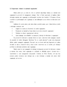 Aprecieri privind Definirea Misiunii și Obiectivelor Firmei pe Exemplul SC Topoturc SRL - Pagina 5