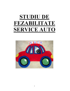 Studiu de Fezabilitate - Service Auto - Pagina 1