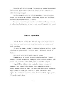 Dosar practică - SC Carrefour România SA - Pagina 2