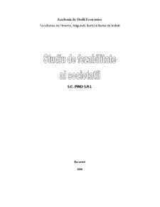 Studiu de fezabilitate al societății SC Pino SRL - Pagina 1