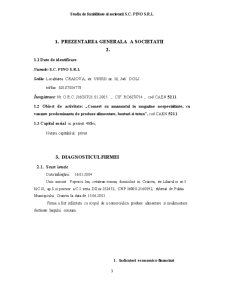Studiu de fezabilitate al societății SC Pino SRL - Pagina 3