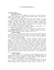 Prezentarea Firmei SC EuroPan Prod. SA - Pagina 1