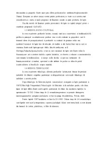 Analiza SWOT Albalact - Pagina 3