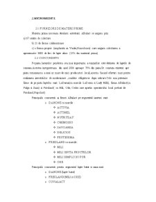 Analiza SWOT Albalact - Pagina 4