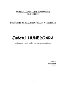 Dezvoltare Rurala si Regionala - Judetul Hunedoara - Pagina 1