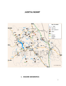 Analiza din punct de vedere al resurselor turistice a județului Neamț - Pagina 2