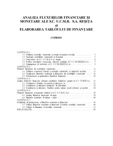 Analiza fluxurilor financiare și monetare ale SC UCMR SA Reșita și elaborarea tabloului de finanțare - Pagina 1