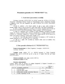Cheltuielile și Veniturile în Cadrul SC Petrovest SA - Pagina 3