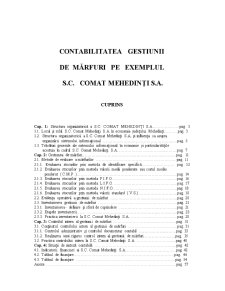 Contabilitatea gestiunii de mărfuri pe exemplul SC Comat Mehedinți SA - Pagina 1