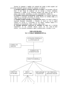 Contabilitatea gestiunii de mărfuri pe exemplul SC Comat Mehedinți SA - Pagina 5