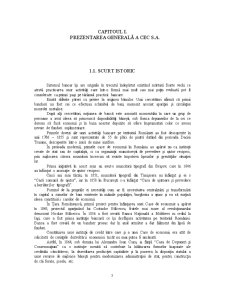 Studiu privind Principalele Operațiuni la Sucursala Județeană CEC Timiș - Pagina 3