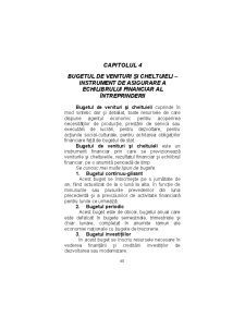 Contabilitate Aprofundata - Pagina 58