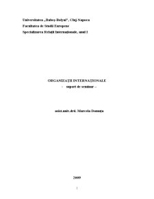 Organizații internaționale - suport de seminar - Pagina 1