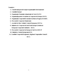 Organizații internaționale - suport de seminar - Pagina 2