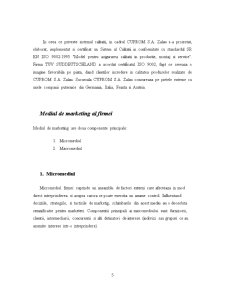 Practică SC Cuprom SA - Pagina 5