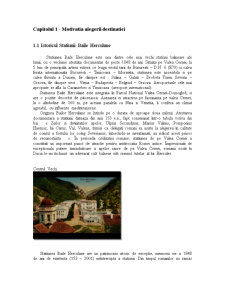 Analiza unei destinații turistice - Băile Herculane - Pagina 2