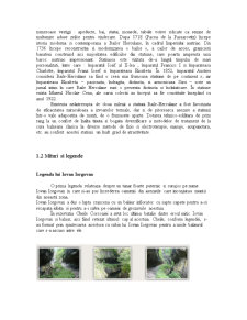 Analiza unei destinații turistice - Băile Herculane - Pagina 3