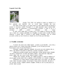 Analiza unei destinații turistice - Băile Herculane - Pagina 4