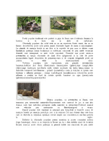 Analiza unei destinații turistice - Băile Herculane - Pagina 5