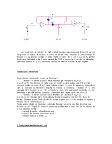 Detector de Valori Maxime Pozitive - Pagina 2