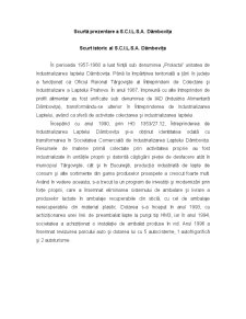 Proiect evaluarea întreprinderii - SC I.L. SA Dâmbovița - Pagina 2