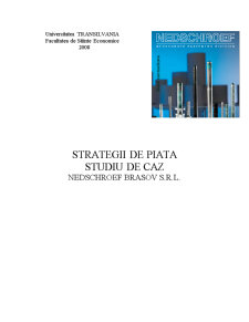 Strategii de piață - studiu de caz - Nedschroef Brașov SRL - Pagina 1