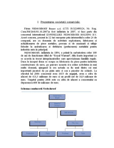 Strategii de piață - studiu de caz - Nedschroef Brașov SRL - Pagina 2
