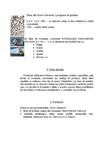 Strategii de piață - studiu de caz - Nedschroef Brașov SRL - Pagina 3