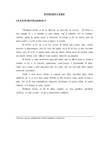 Managementul Serviciilor Hoteliere - Pagina 2