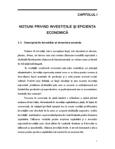 Managementul Investițiilor la SC IMSAT SA - Pagina 3