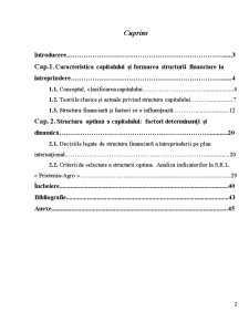 Structura Optima a Capitalului - Factori Determinanti si Dinamica - Pagina 2