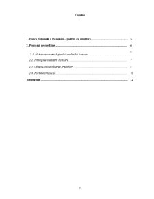 Studiu de Caz privind Perfecționarea Politicii de Creditare a BNR - Pagina 2